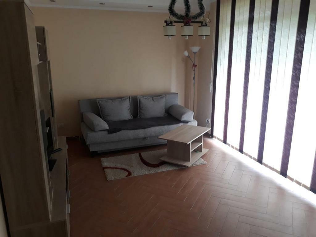 Casa Francesca Apartment Comanesti (Bacau)